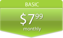 Basic Plan