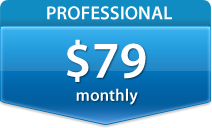 Professional Plan