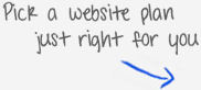 Pick a website plan